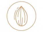 SAADI-LOGO